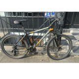 Indigo Surge Mountain Bike